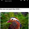 Peter Branch - @peter.branch5 - TikTok