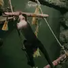 brantley.peter.65495 - @brantley.peter.65495 - TikTok