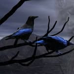 Peter Bräsick - @peterbrasick - Instagram