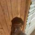 Peter Brian - Facebook