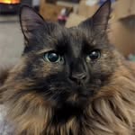 Peter Bricesmith - @peterbricesmith - Instagram