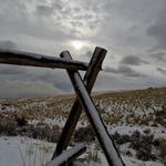 Peter Brickey - @peterbrickey - Instagram