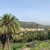 Brillepeter - @brillepeter - TikTok