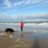 Peter Brill - @peterb333 - TikTok