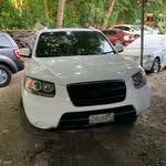 @peterbrillo_422 - Instagram