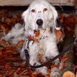 Peter Brouwer - @peterbrouwer040362 - Instagram