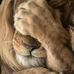 Peter Brunner - Facebook