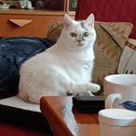 Peter Brunner - @peter.brunner.562 - Instagram