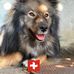 Peter Brunner - Facebook
