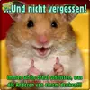 Peter Brunner - @peterbrunner69 - TikTok