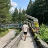 bryden_peter - @bryden_peter - TikTok