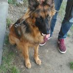 peter bryden - @brydenpeter - Instagram
