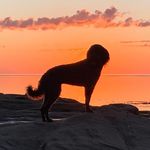 Peter Bryden - @pbryden43 - Instagram