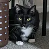 peterbuckman - @user397836840 - TikTok