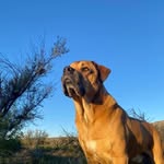 Giles Peter Buffard - @gilespeterbuffard - Instagram