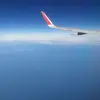 Peter BUI - @dhhhdhsuj - TikTok