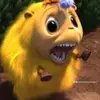 Peter - @peterbuilds - TikTok