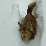 Hans Peter Bunch Jensen - @hans.p.jensen.12 - Instagram