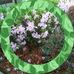 Peter Bunch - Facebook