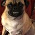 Peter Buonocore - Facebook