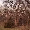 Peter Burgess - @peter.burgess8 - TikTok