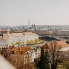 burleypeter - @burleypeter - TikTok