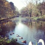peter burley - @pburley1938 - Instagram