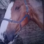 Peter Burley - @peterburley44 - Instagram