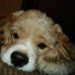 Peter Burley - @burleypeter - Instagram