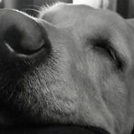 Peter Büttner - Facebook