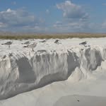 Peter Buzzard - @pbuzzard1 - Instagram