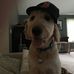 Peter Cafaro - Facebook