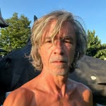 Peter Caine - @caine_peter_dogs_ - Instagram