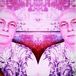Peter Calandra - @petercalandra - Instagram