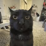 Peter Calandra - @petey.calandra - Instagram