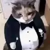 peter_camey - @peter_camey - TikTok