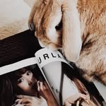peter - @peter_camel_ - Instagram