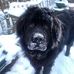 Peter Canfield - Facebook