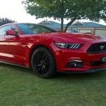 Peter Caputo - @caputo4820 - Instagram