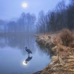 Peter Carleton - Facebook