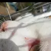Peter Carreño761 - @user9167347358879 - TikTok