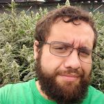 Peter Carreno - @altermeist - Instagram