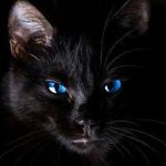 Peter Carstensen - @peter.carstensen.5074 - Instagram