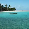 Peter Casey - @peter.casey37 - TikTok