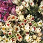Peter Cass - @peterbcass - Instagram