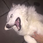 PeterCass - @petercassand126others - Instagram