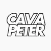 CAVAPETER ⚽️ - @cavapeter.offi - TikTok