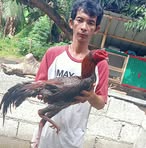 Peter Celeste - Facebook