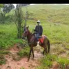 @peter celio - @user7745339469465 - TikTok