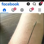 Peter Cervantes - Facebook